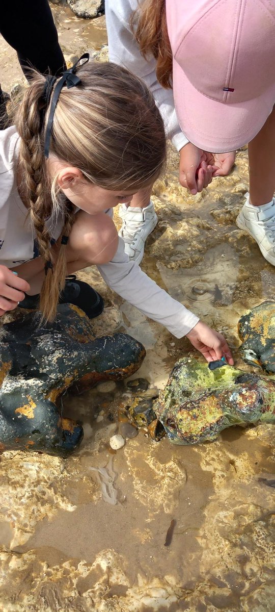 StEdmundsIP33 tweet media