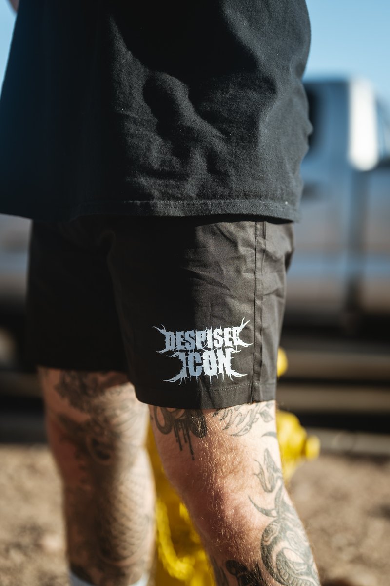 despisedicon's tweet image. Today is the last day of the annual @IndieMerchstore July 4th sale.
10% off at checkout with code HEATWAVE10 on all Despised Icon merch.