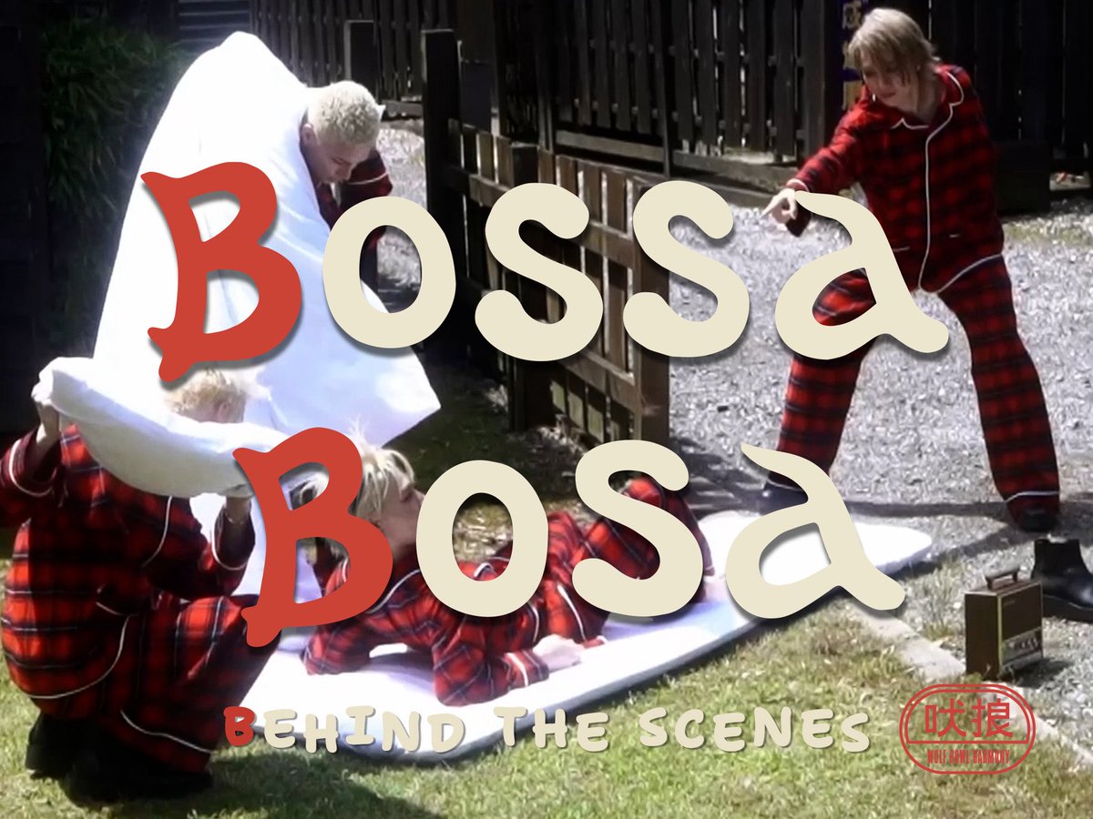 WOLF HOWL HARMONY Bossa Bosa ボサボサ コンプセット WOLF HOWL