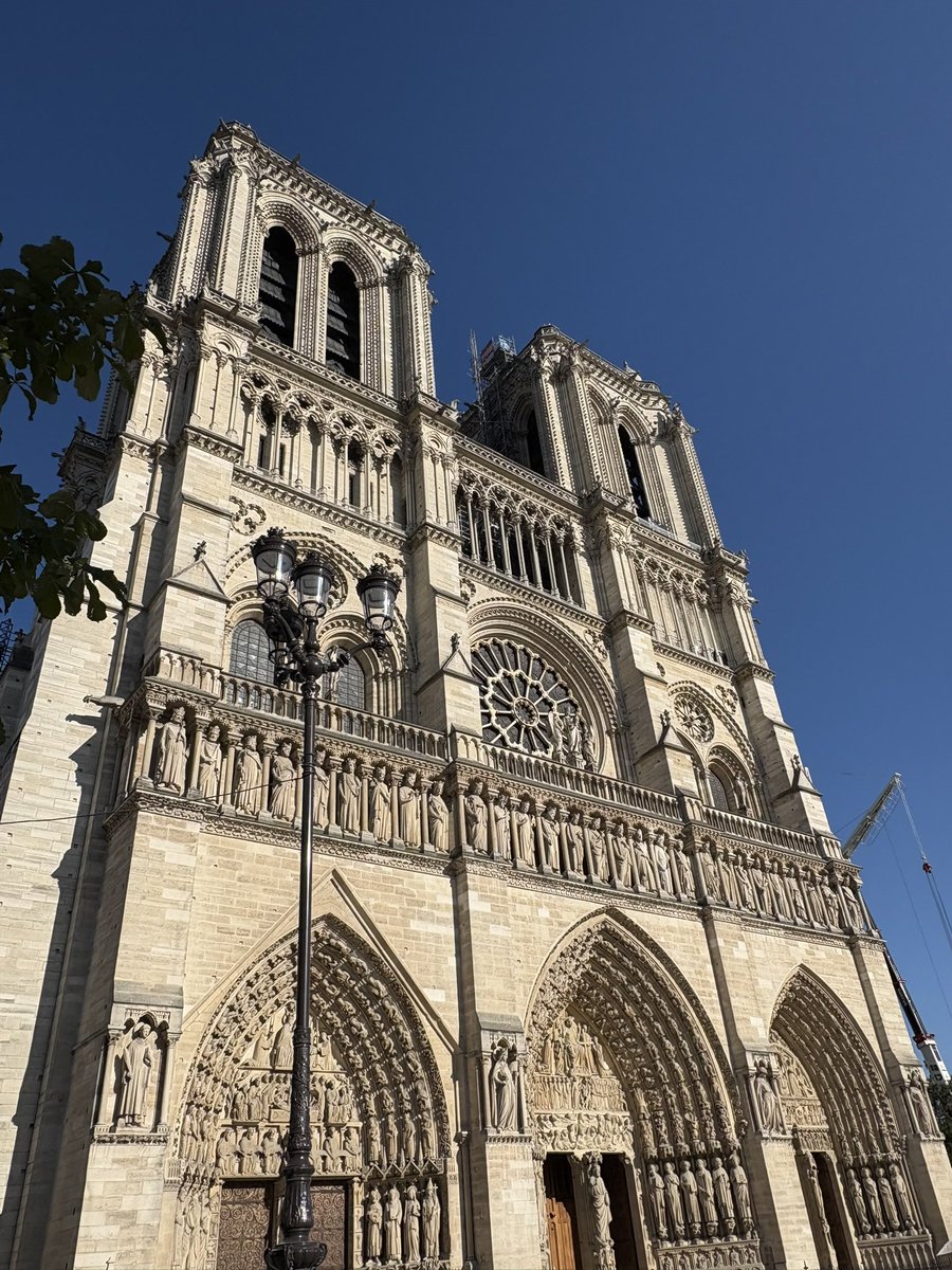 Pharmacist Thorrun, Healthcare Expert tweet media