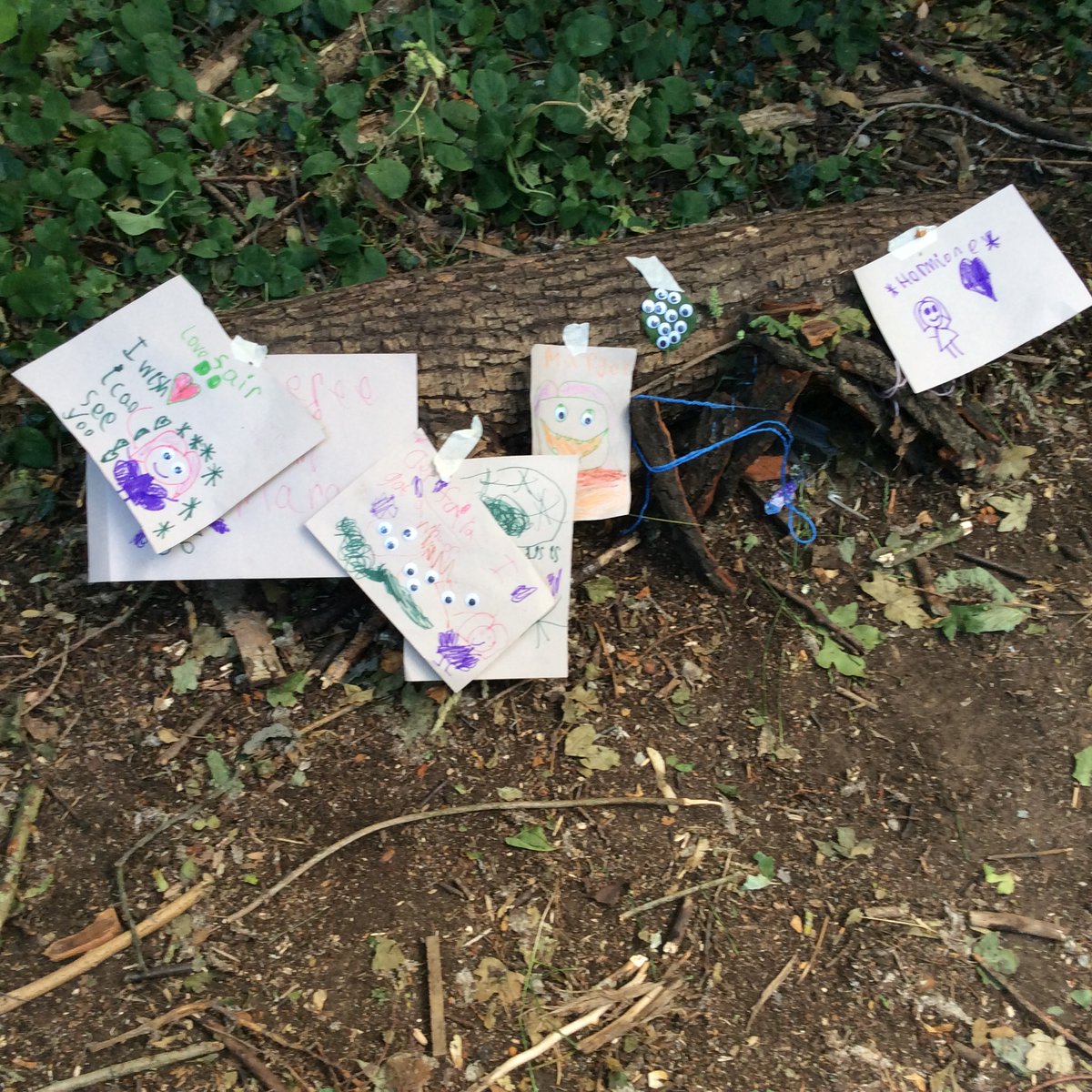 The children enjoyed tasting their elderflower cordial and it was roaring success. Some children wanted to set up a shop to sell it, as it was so delicious.  Several stag beetles were found bug hunting, a pair of colourful tiny feathers and a bee paid us a visit in the log circle