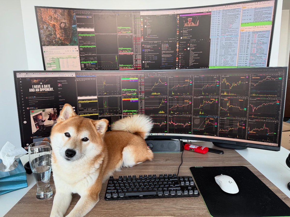 EternaLEnVy tweet media