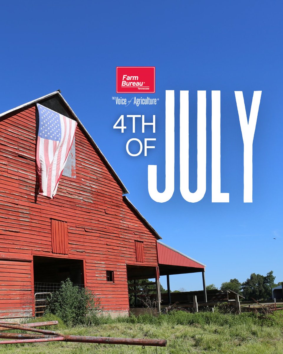 TNFarmBureau's tweet image. Wishing you and your family a safe and fun 4th of July. Let's all thank the Lord for the blessing of calling the United States home! 🇺🇸
#TNFarmBureau I #4thofJuly