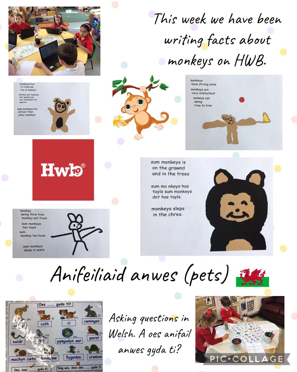 Maes Y Morfa (@ysgolmym) on Twitter photo We have been writing facts about monkeys, in year 1 this week. 🐒 We have been writing facts about monkeys, in year 1 this week. 🐒