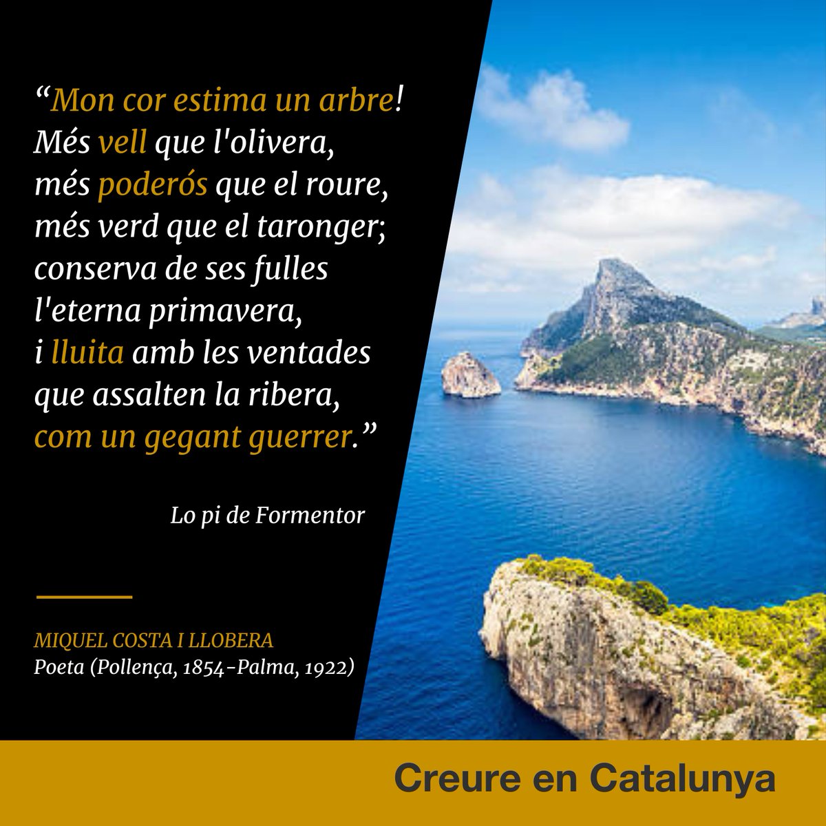 QuimTorraiPla's tweet image. Fa 150 anys que Miquel Costa i Llobera va escriure ‘Lo pi de Formentor’, el seu poema més conegut i considerat un dels millors poemes de la Renaixença. És ideal per recordar que demà se celebra el tradicional Aplec del Pi de les Tres Branques al Berguedà. #creureenCatalunya