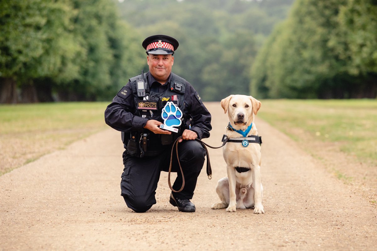 K9Finn's tweet image. Last chance! Nominations close at 5pm tonight! 🐾

Time’s running out to nominate your favourite four-legged hero for the 2025 Thin Blue Paw Awards! 🏆💙

Every year, we celebrate the courage, commitment, and life-saving actions of police dogs from across the UK – and now it’s…