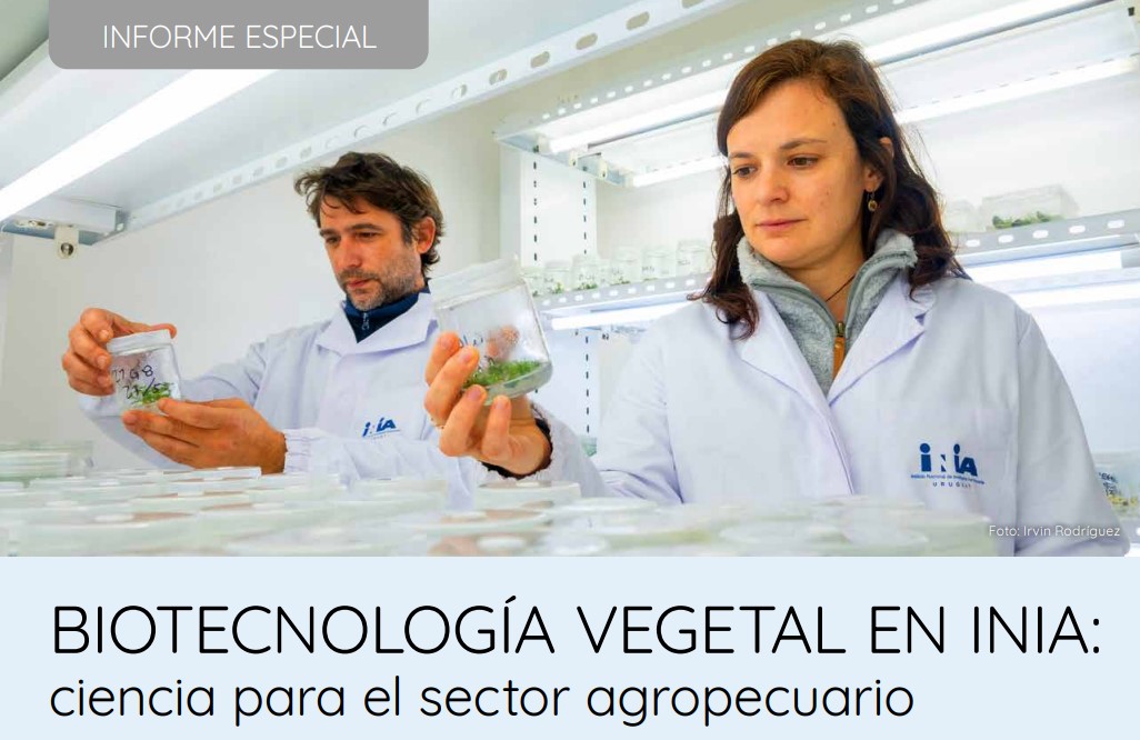 NOVEDADES REVISTA INIA
✅El nuevo número cuenta con un informe completo sobre el aporte de INIA en el área de la biotecnología vegetal. Muchas gracias por colaborar en su difusión.
▶️inia.uy/sites/default/…