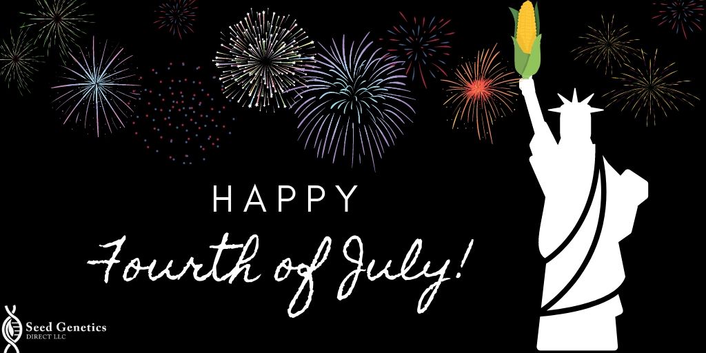 seedgenetics's tweet image. Our office is closed today. Happy birthday, America!!