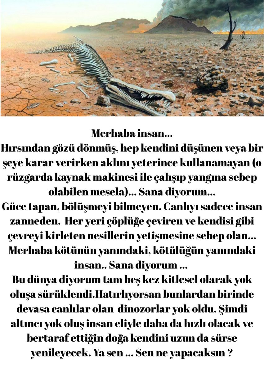 Jolllll tweet media