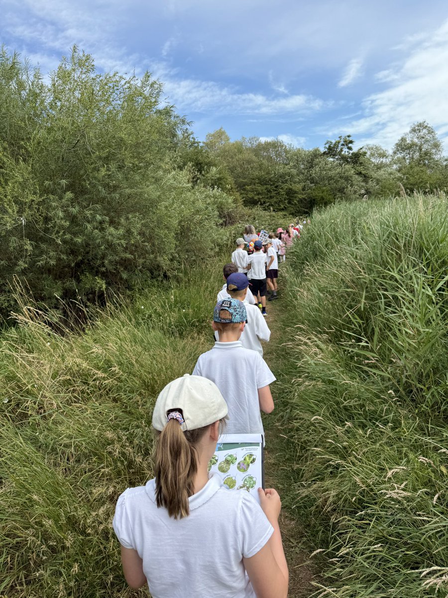 Overstone Primary School tweet media