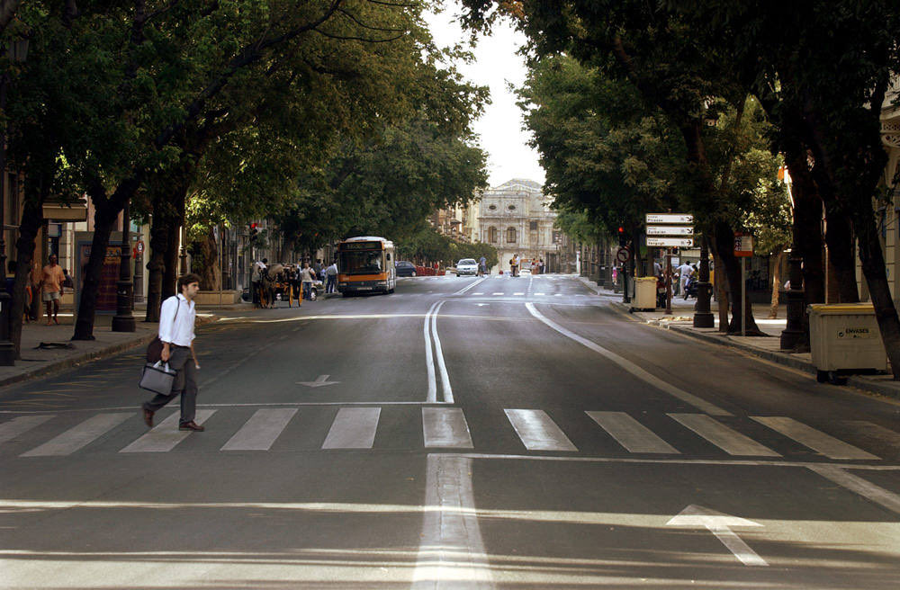 J. Ramón (@jramonfc) on Twitter photo <a href="/Ayto_Sevilla/">Ayuntamiento de Sevilla</a> Pues hace menos de un siglo, lo que habían eran árboles… ¡de locos, eh!
🌳🌲 <a href="/Ayto_Sevilla/">Ayuntamiento de Sevilla</a> Pues hace menos de un siglo, lo que habían eran árboles… ¡de locos, eh!
🌳🌲