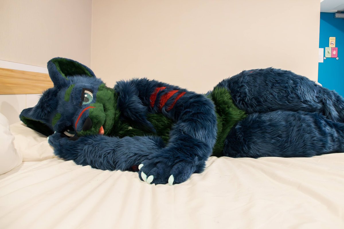 CTtheWolf's tweet image. Let’s cuddle together, shall we?
🐾: Me!
📸: @Takoro_doge
🪡: @KemoTianou
#FursuitFriday