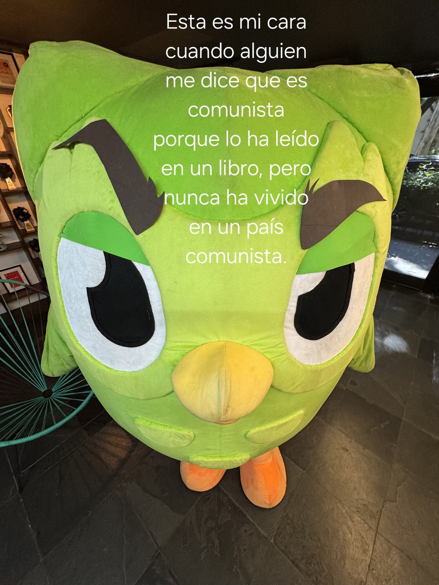 MKCh1992's tweet photo. @duolingoespanol https://t.co/AoKFkTJ3L6