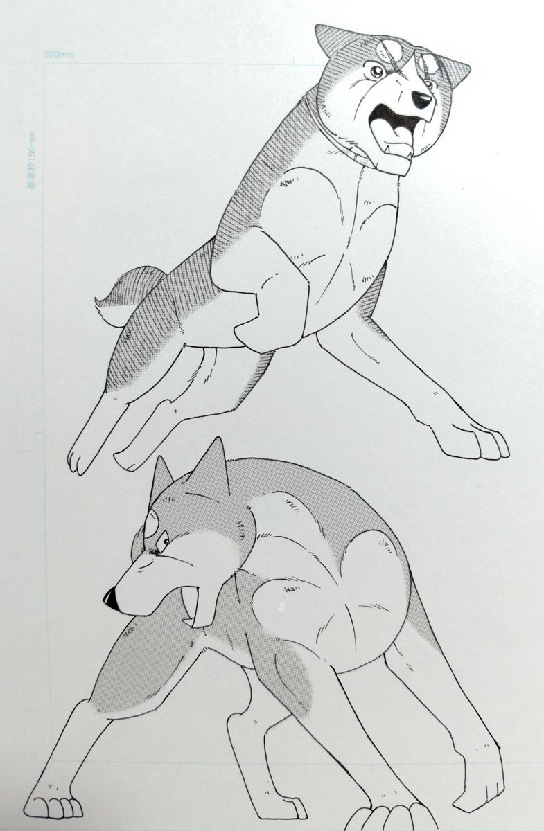 フォロワーさんの推し好きキャラ2周目
<a href="/rhhsbw_ginga/">れおん</a>
その3
ジョー&amp;幸村
#銀牙