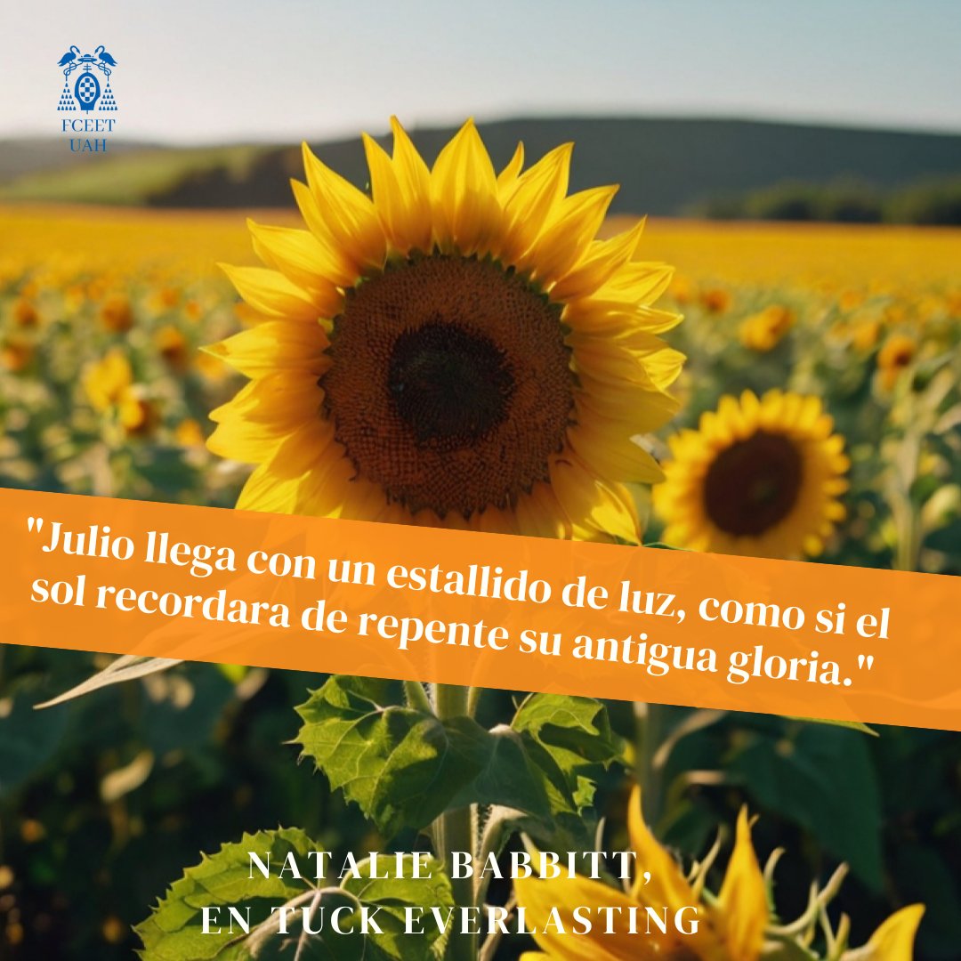 Primer viernes de julio.
Las clases se acabaron, el curso cierra sus páginas, los apuntes se van al cajón y el verano por fin empieza a sonar fuerte. 

⠀💥 Se vienen las vacaciones que estábamos esperando....

#HolaJulio #ModoVeranoOn #ChaoClases #VacacionesYa