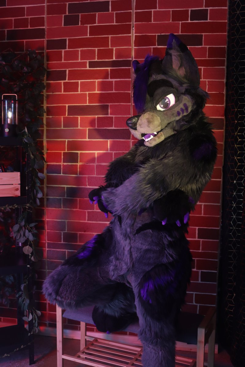 Are you looking for a bad boy ? 😈
Because I think you found him and he’s right in front of you 👀😈

Photographer : <a href="/Pundazebra/">Punda</a> 💜☺️

#furry #fursuit #fur #fursuiter #fursuiting #fursuits #furryfandom #fursuiting #puppy #FursuitFriday 💜