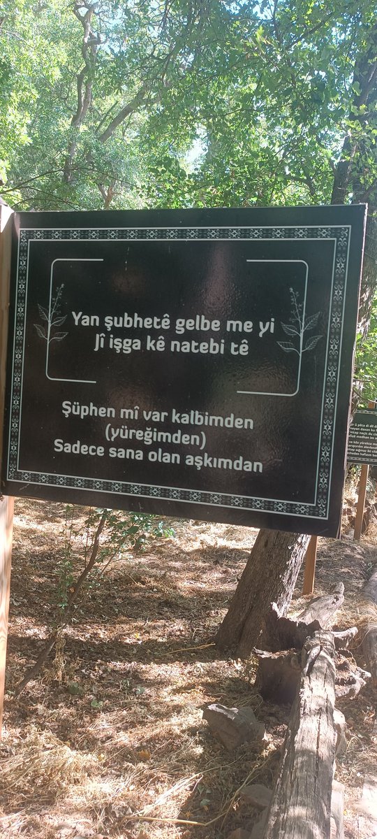 Şüphen mi var kalbimden sadece sana olan aşkımdan...
#FeqiyeTeyran