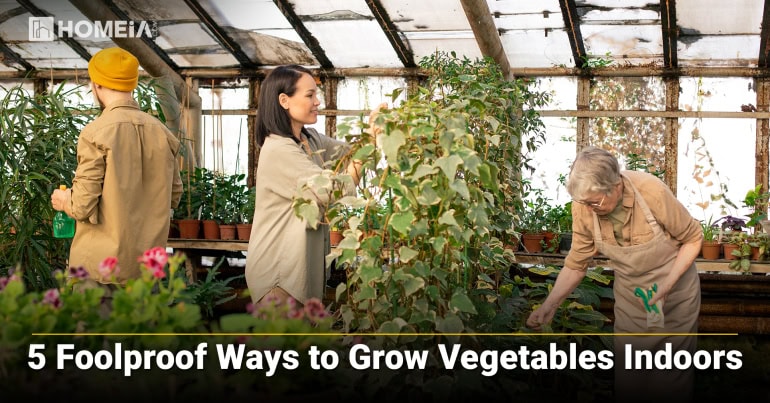 By reading this article, you’ll get to know the five foolproof ways of growing your own vegetables inside of your home. No need for elaborate plots or expensive greenhouses.
homeia.com/foolproof-ways…
