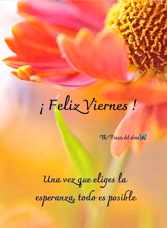 mimi_rearte's tweet image. Buenos días. Feliz viernes. 🙏🏻☕🥀🌅