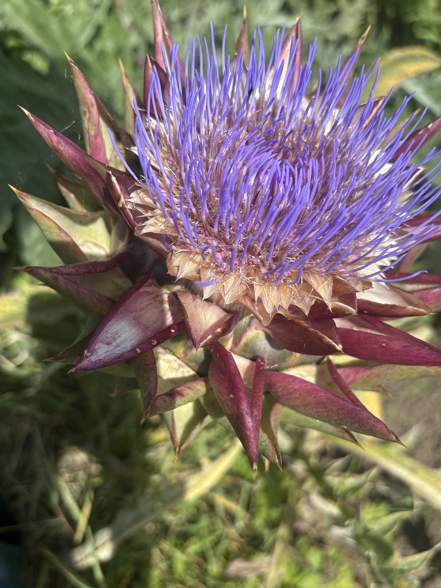 Jacqui Boddington tweet media