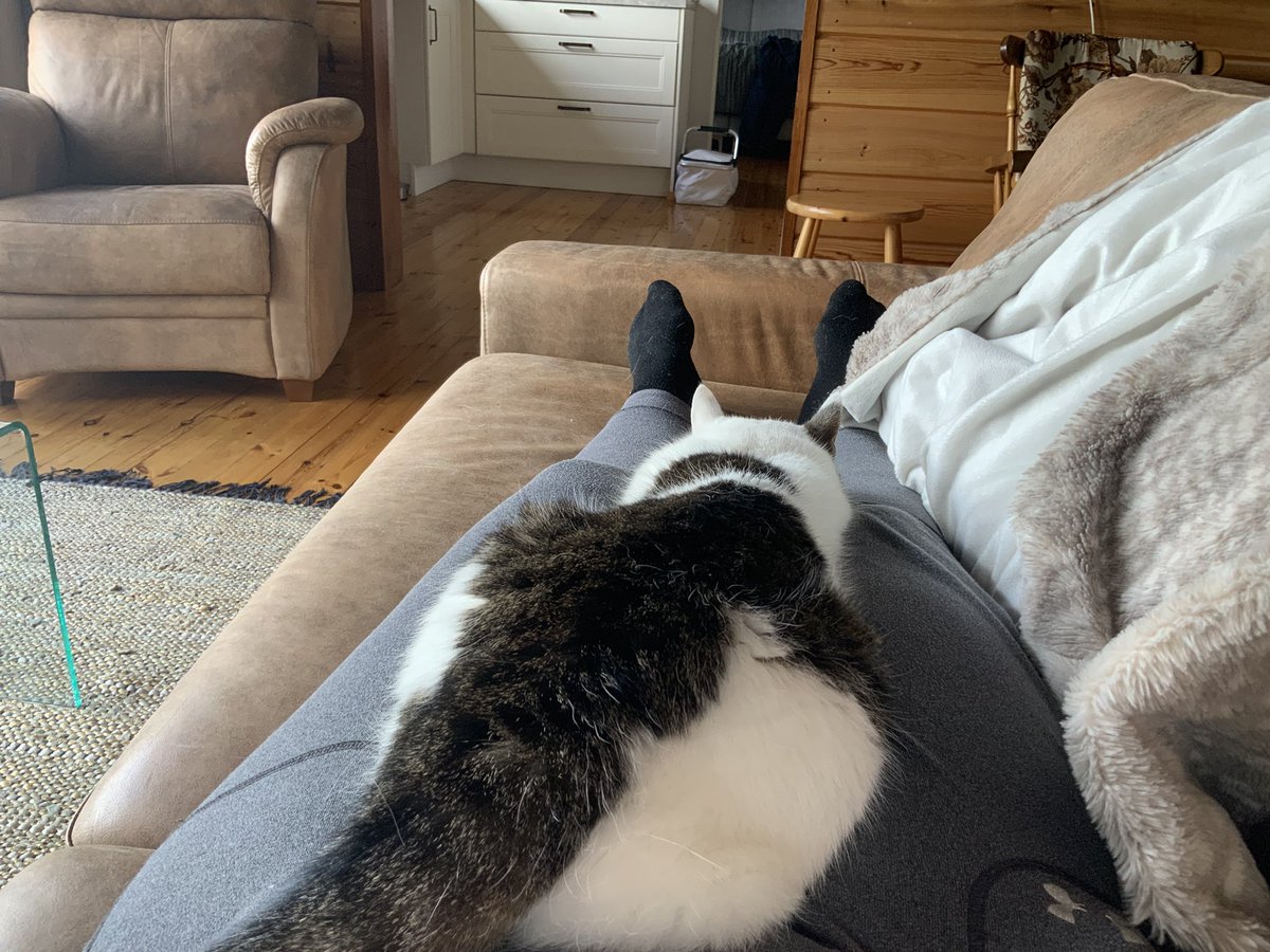 Nyei huvita mikään.