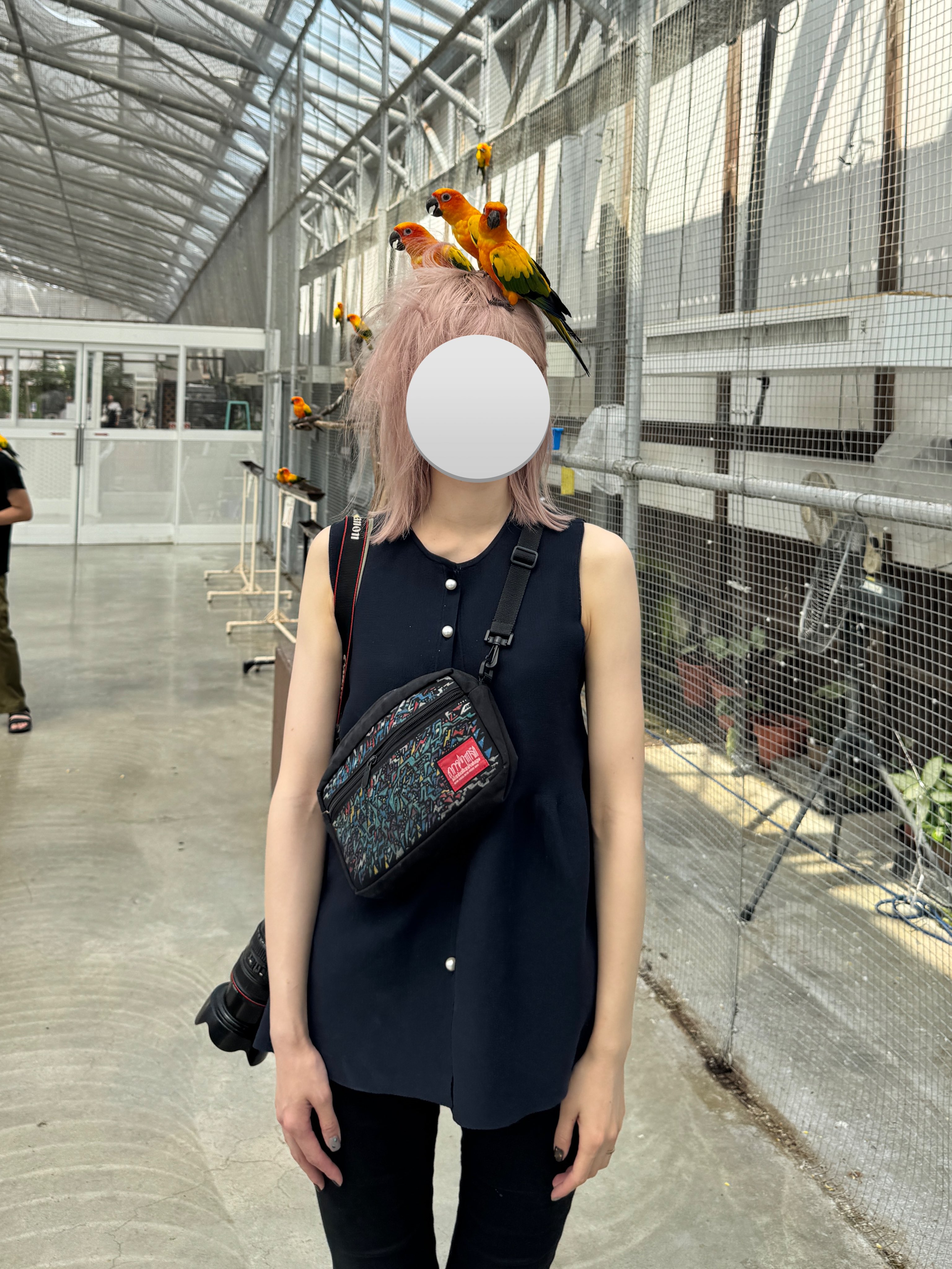 特価ブランド はるか180cm｜漫画「女ひとり、インドのヒマラヤでバイクに乗る 応援グッズ