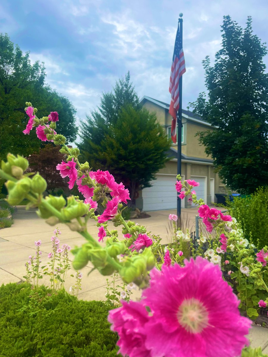 Happy Fourth of July‼️

🇺🇸🇺🇸🇺🇸

#Utah