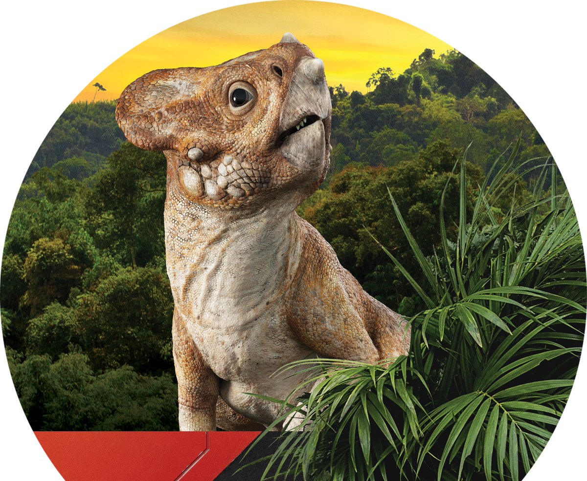 ◤📍イトーヨーカドーあべの店に “ドロレス”がやってくる