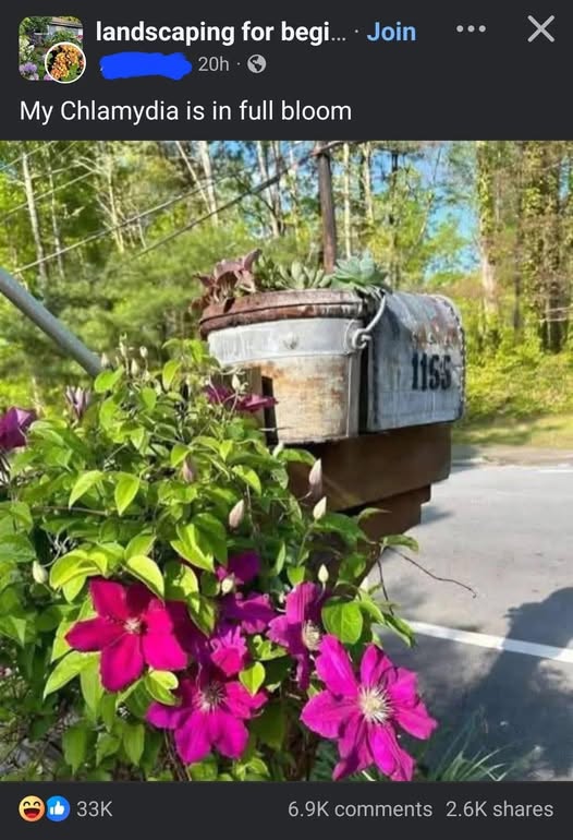 Ми излезе <a href="/Schiffer_PG14/">Chlamydia</a> на Фејсбук.