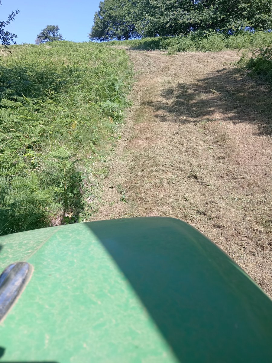 Oh, que cansat estic de la meva eixorca, sorrenca, rosta i tan salvatge terra.
I com m'agradaria allunyar-me'n nord enllà, on diuen que la terra és planera, grassa i aprop de casa.
Però em quedaré aquí fins la mort.
Car sóc també eixorc i salvatge.
Salvador Espriu, més o menys😁