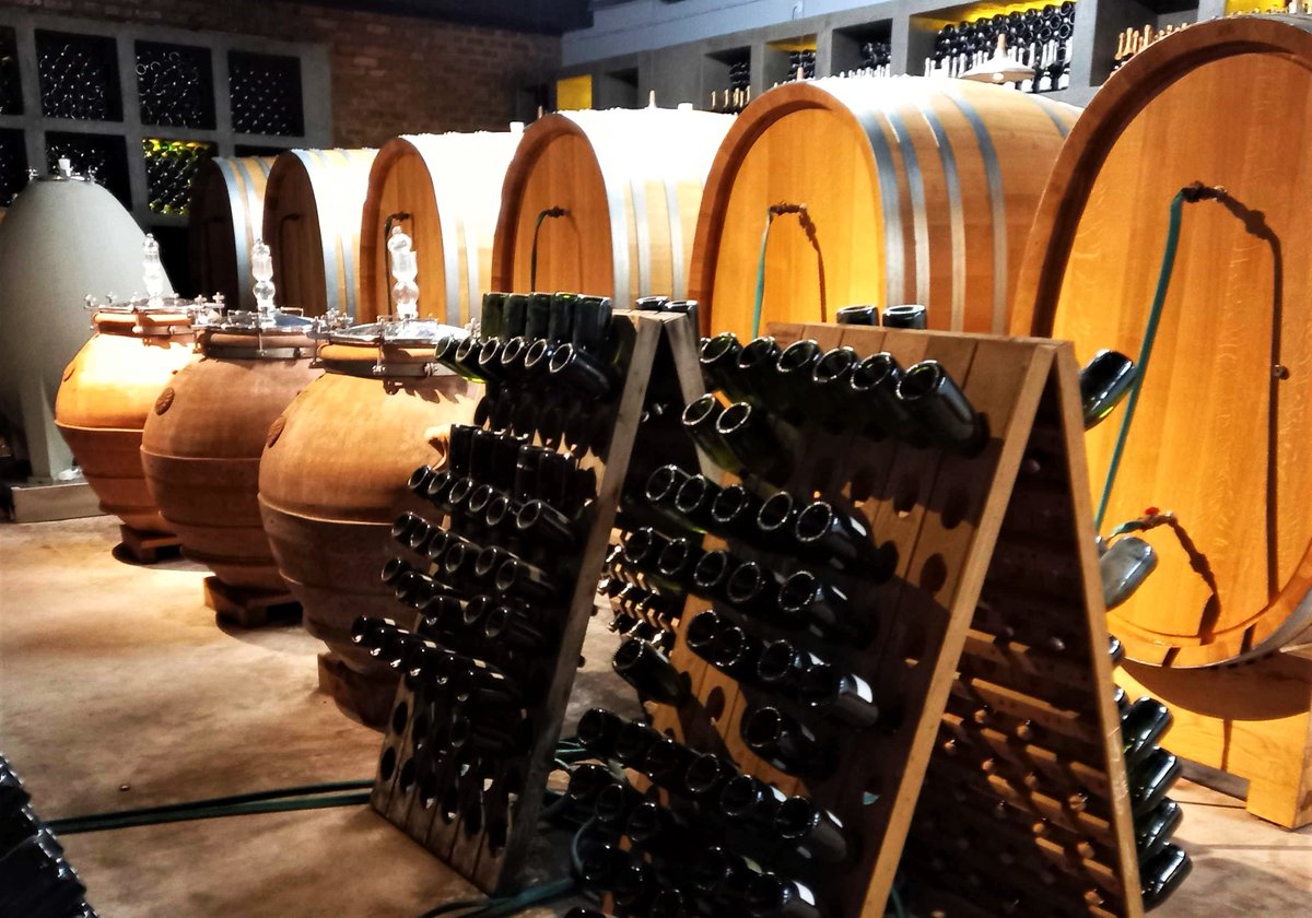 Graham Beck: top SA bubbly cellar, no stranger to good ratings. But also on the leaderboard at the 2025 International Wine &amp; Spirit Competition is a Robertson beauty fairly new on the scene: Windfall Mendola Blanc de Blanc!

topwinesa.com/w89s

#SA #SouthAfrica #IWSC #Bubbly