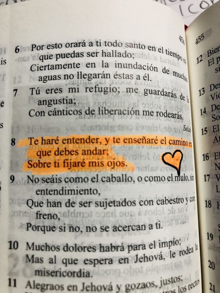 Biblia_Linea's tweet image. 🙏🏻