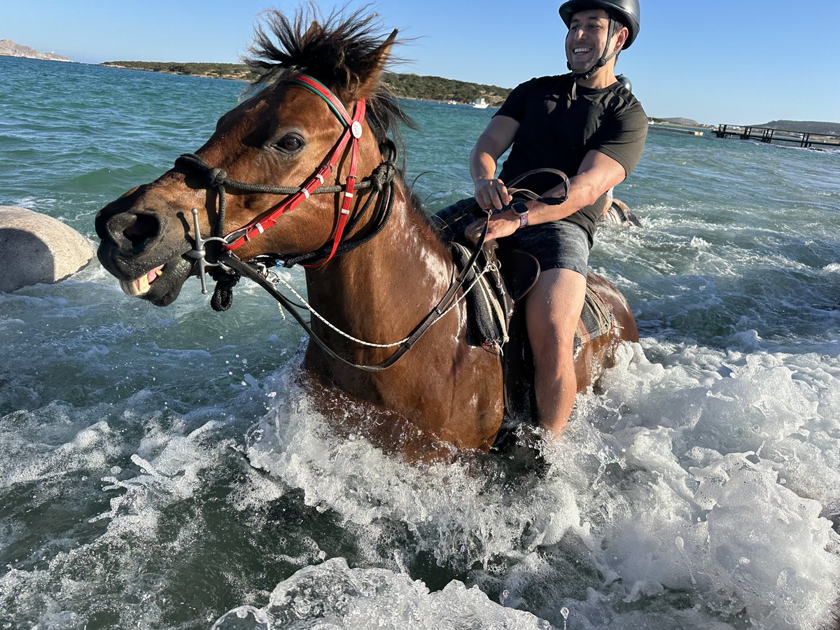 Gm fam! Happy Friday! ☀️☕️

Went on a horseback riding tour this morning in Paros and did my first ride in beach water - it was an amazing experience!