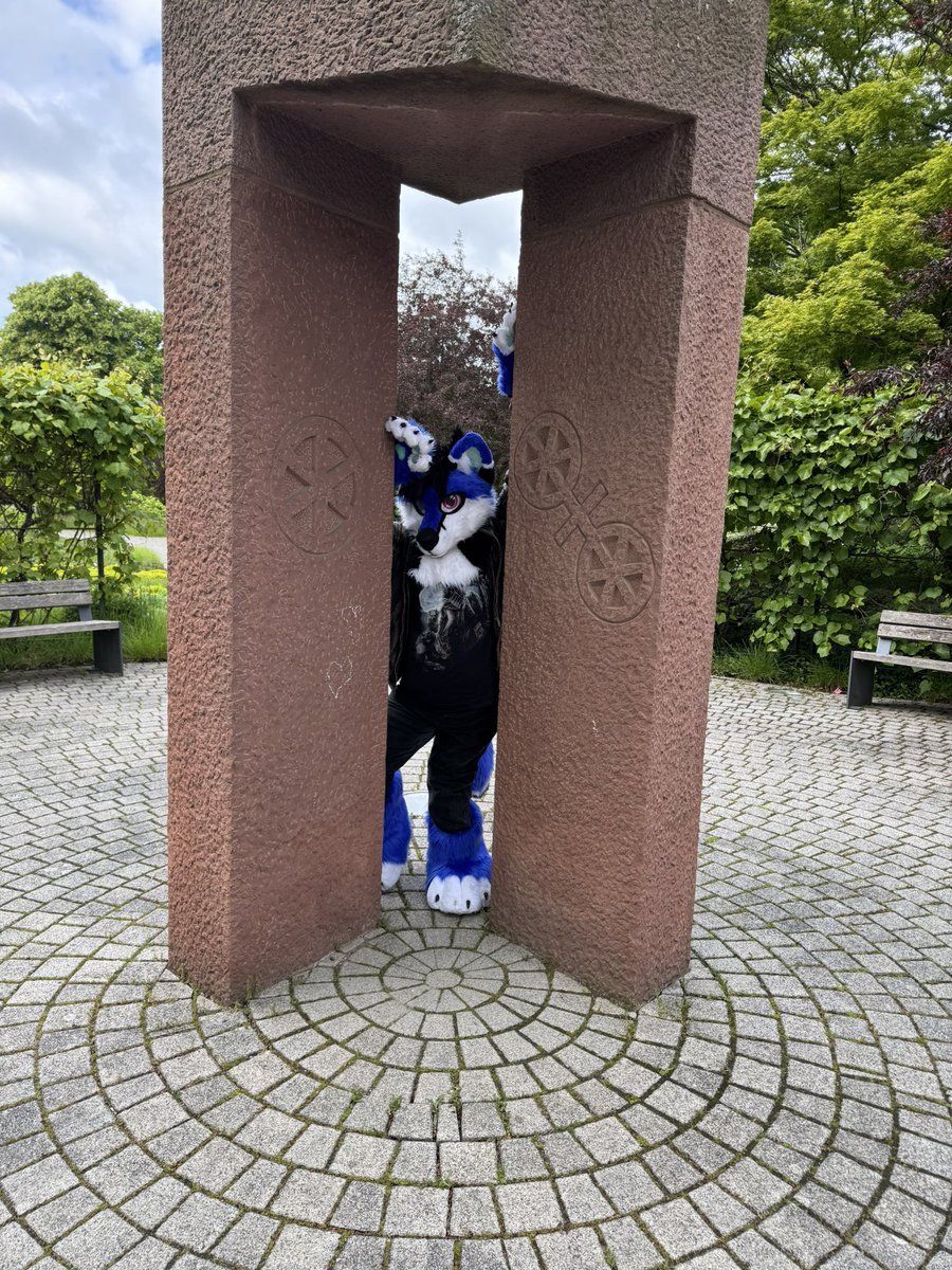 Happy #FursuitFriday everyone and a good weekend. 😇💙

📍Erfurt/Anime Park Convention 
📸family 
🪡KegawaCreation