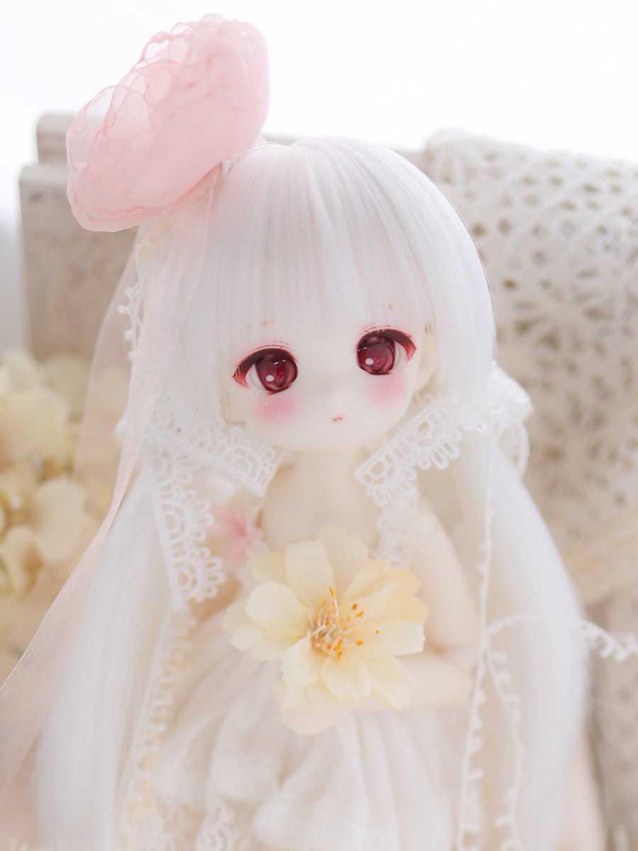 i Shelter アイシェルター 最高級美濃焼ペット用シェルター