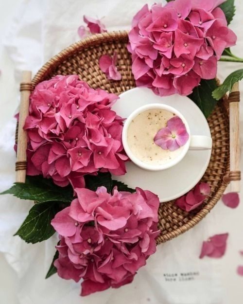 Mitsue Butler 💍💖💎🎀 (@mitsuemitsu) on Twitter photo 