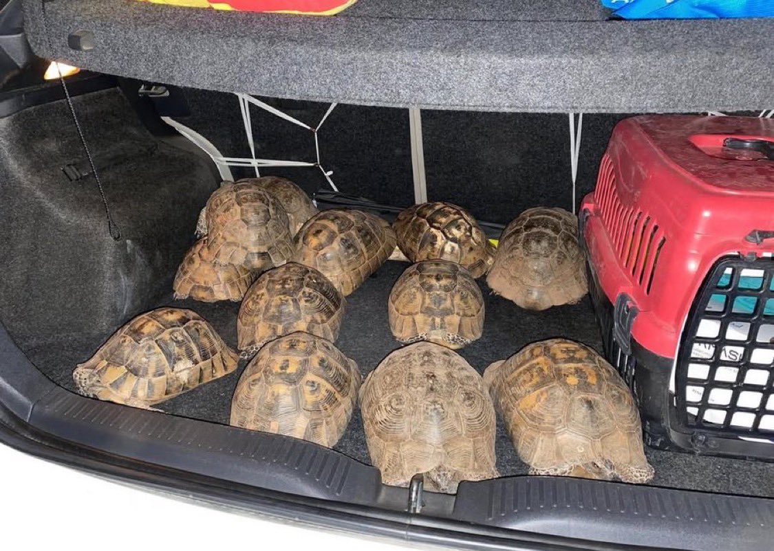 Söylenecek çok söz var ve söylenecek hiçbir şey yok...