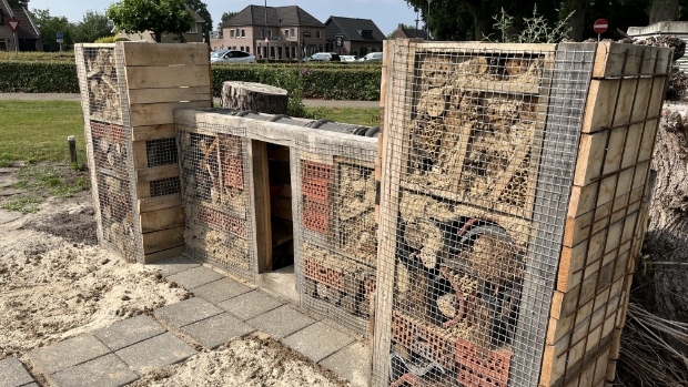 Unieke bijenburgt in Aldendrielpark: eerbetoon aan natuur en de heilige Ambrosius -  kliknieuwsdemaasdriehoek.nl/l/238791