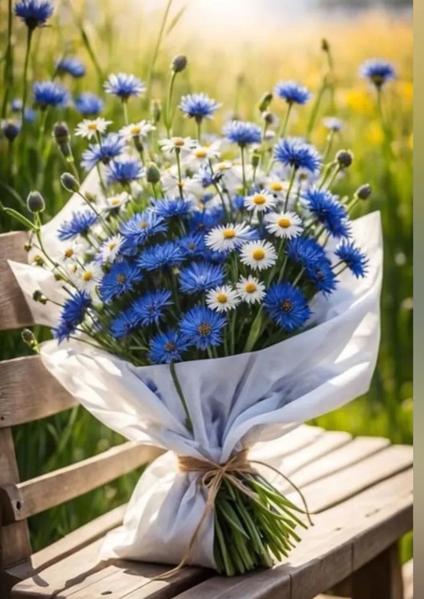 Ms_light_2's tweet photo. ذبح فرعون آلاف الذكور خوفاً من أن يأتي موسى ، وعندما جاء موسى ... رباه في بيته !!
أقدار الله نافذة لا محالة ، فاطمئنوا 💙 https://t.co/HTgF4R7Jmo