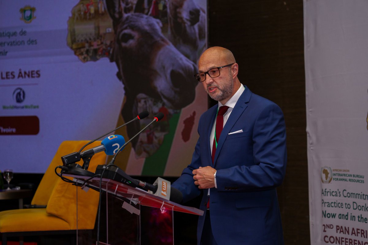 Hope for Africa’s donkeys as Ministers rally against skin trade

Leaders from across Africa committed to protecting the continent’s donkeys by supporting the African Union’s ban on the donkey skin trade at the Pan-African Donkey Conference (PADCo).

Read more: