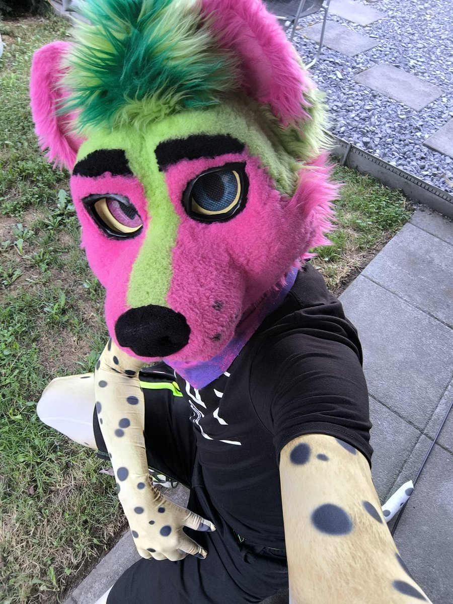 I think the heat isn't good for me, somehow I feel different😵‍💫

Happy #FursuitFriday everyone 🐆