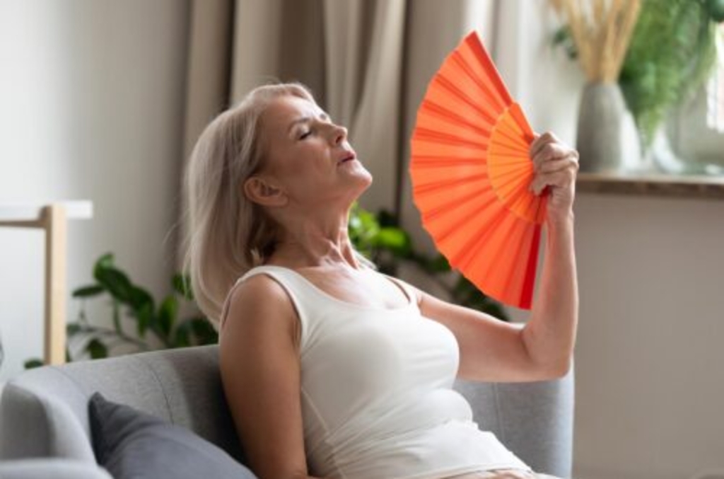 D66 wil sneller actieplan tegen hittestress in Westland -  rodi.nl/westland/l/453…