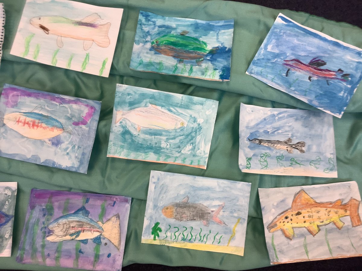 Year 4 Ordsall Primary School tweet media
