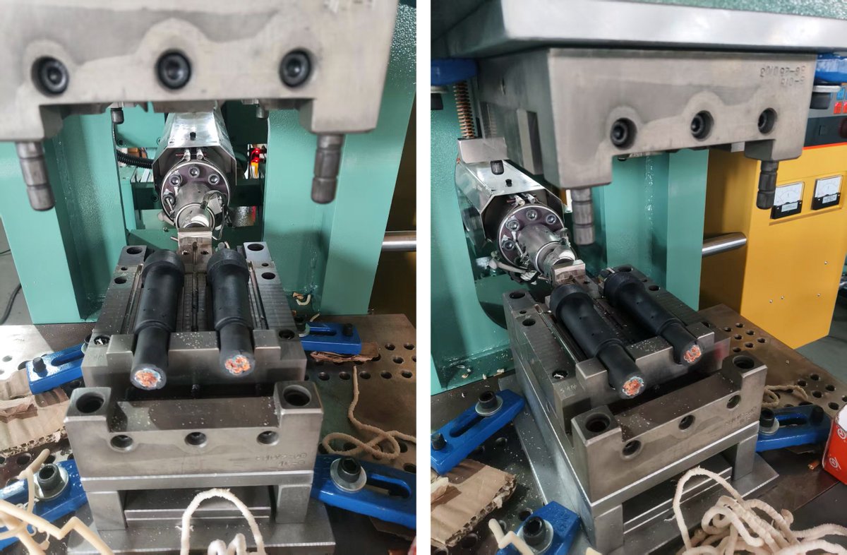 In fact, many suitable types can work for you, just check which one can cooperate more effectively.