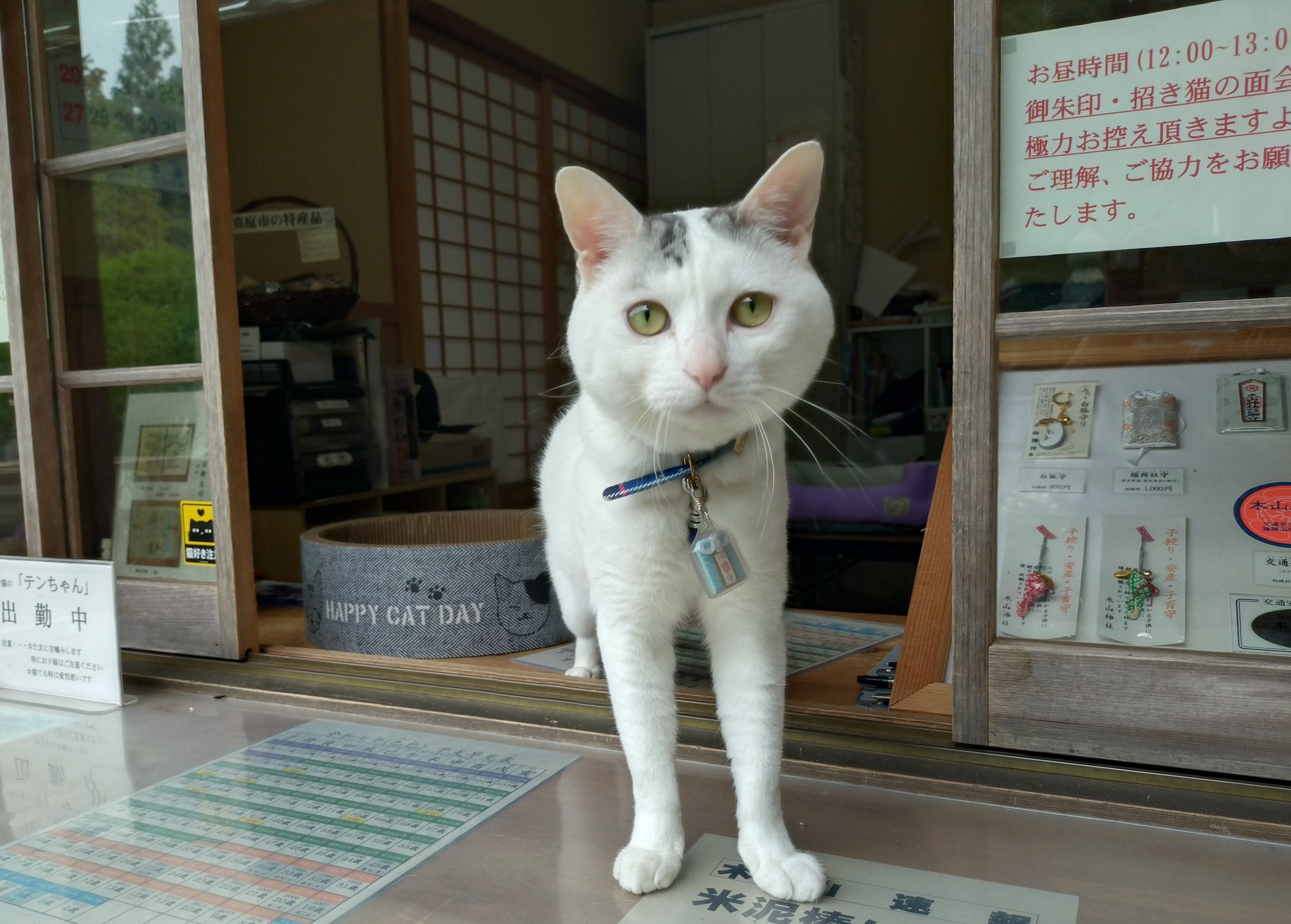 招き猫 むら糸タペストリー】招き猫 KP7290-7 約48cm×約110cm