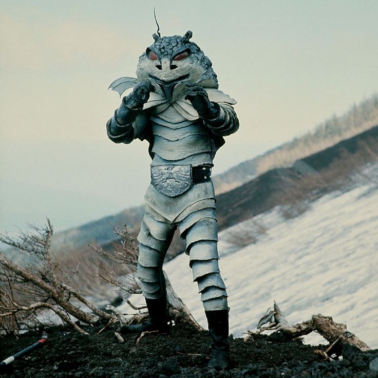 #無言で推し画像を載せて何いいねくるか