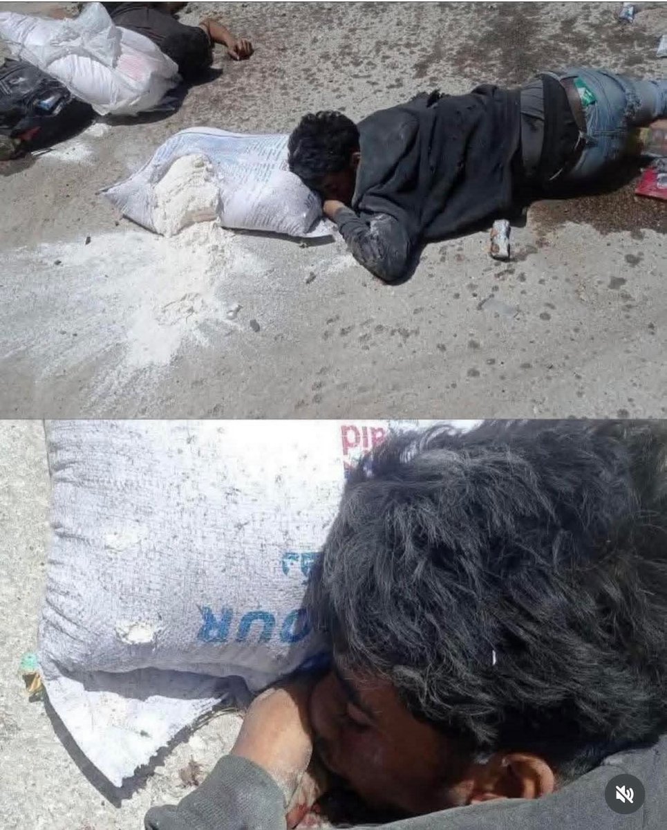 bardini64433's tweet photo. Only in Gaza would you die for a kilo of flour.
https://t.co/bJnVjweyoO https://t.co/VVfeeOaFXo