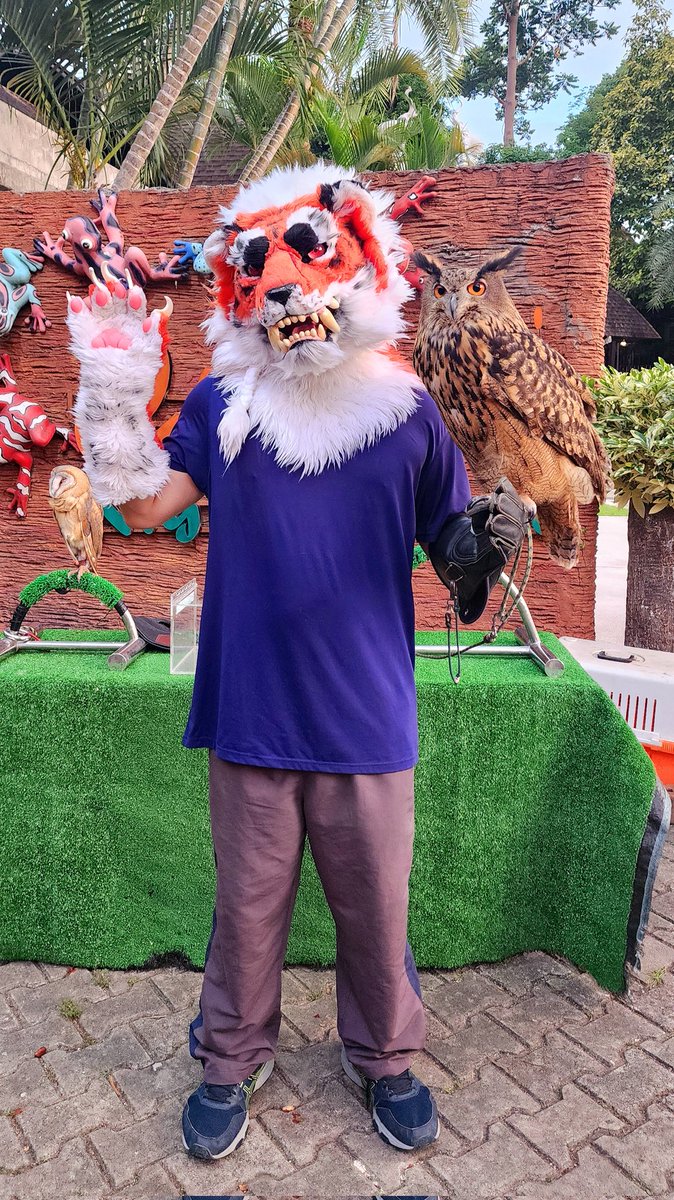 The Gin's Avian Keeper does a part-time job 🐯🐾🦅
ในภาพนี้มี นกแสก🦉 นกเค้าอินทรี🦅 กับ นกเค้าแมว(เค้าเสือนะ🐯)

📸 Chiang mai night safari zoo keeper
#FursuitFriday 
#furry