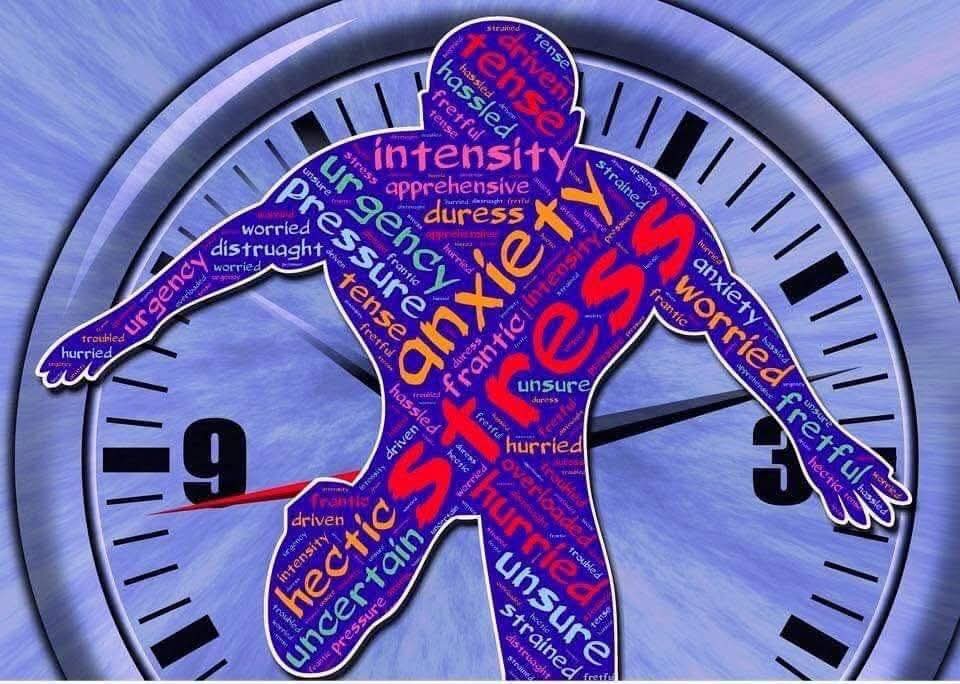 cheshireagchap's tweet photo. 1.Looking after yourself is just as important as looking after your land and livestock. #Farmstrong #FitToFarmFriday
STRESS
Stress causes physical changes in the body designed to help you take on threats or difficulties.
You may notice that your heart pounds, your.. https://t.co/gueInS3vAD