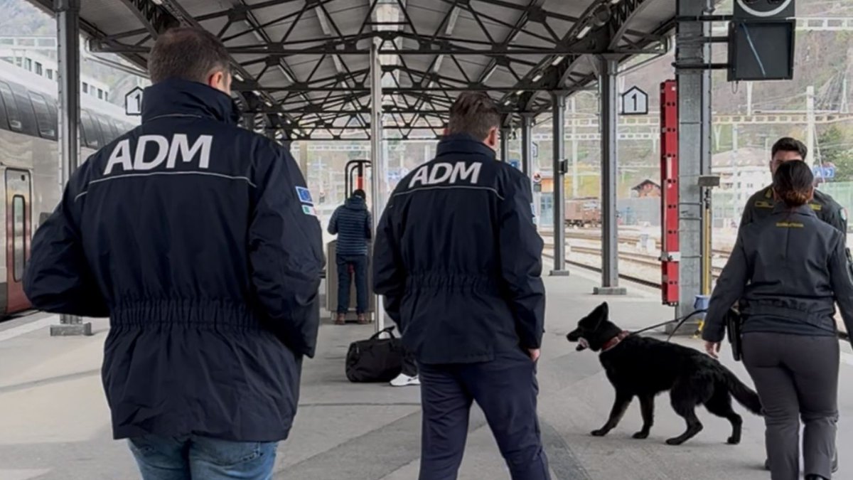 Agenzia Dogane e Monopoli-ADM (@admgov) on Twitter photo Scoperti traffici valutari irregolari per un milione e centomila euro da #ADMgov e <a href="/GDF/">Guardia di Finanza</a> nei primi mesi del 2025, nel corso delle operazioni di controllo sui viaggiatori.
adm.gov.it/portale/docume⦠Scoperti traffici valutari irregolari per un milione e centomila euro da #ADMgov e <a href="/GDF/">Guardia di Finanza</a> nei primi mesi del 2025, nel corso delle operazioni di controllo sui viaggiatori.
adm.gov.it/portale/documeā¦